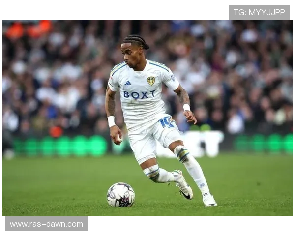 利兹联球员表现